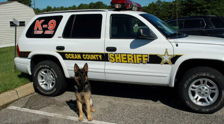 screenshot-2017-03-01-at-5-28-23-pm-768×426 Ocean County Sheriff's Department image.