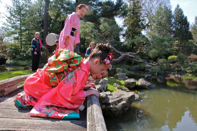 Students from the Japanese Language School of Philadelphia peer into the waters of the koi pond at the Japanese House and Garden. (Emma Lee/WHYY)
