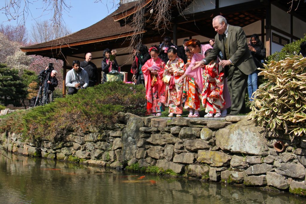 2018 04 11-e lee-joseph zuritsky-fairmount park japanese house-koi donation cherry blossom festival Joseph Zuritsky (right) who donated his prized koi fish to the Shofuso Japanese House and Garden in Fairmount Park, tosses food to the koi with students from the Japanese Language School of Philadelphia.