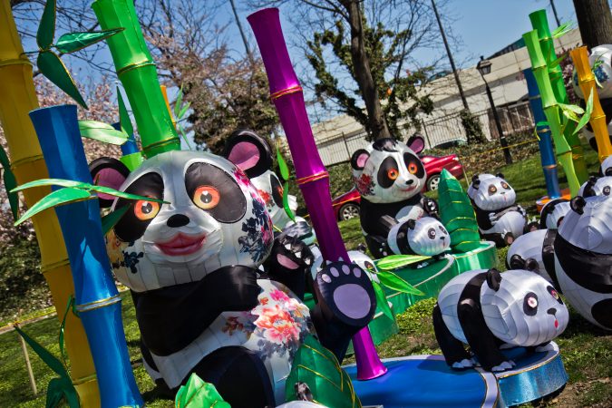 The pandas are one of only two lantern sets that return for the 2018 festival. (Kimberly Paynter/WHYY)