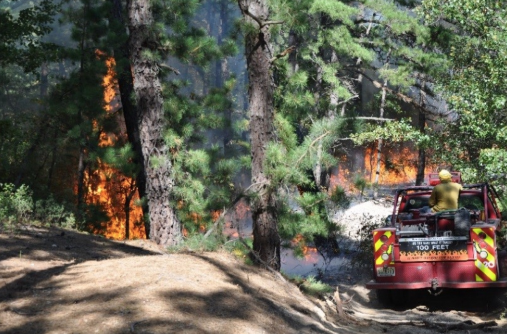 Screen Shot 2018-04-19 at 11.41.57 AM New Jersey Forest Fire Service (File image)