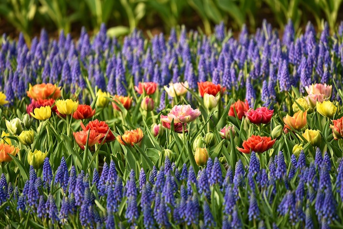 garden-sm