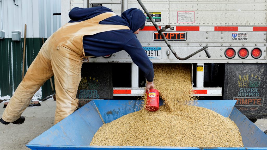 China currently buys nearly a third of the U.S. soybean crop — but the country plans to impose tariffs, in response to a Trump administration plan. Here, a worker takes a sample from a truckload of soybeans in Fargo, N.D., last December. China currently buys nearly a third of the U.S. soybean crop — but the country plans to impose tariffs, in response to a Trump administration plan. Here, a worker takes a sample from a truckload of soybeans in Fargo, N.D., last December. (Dan Koeck/Reuters)