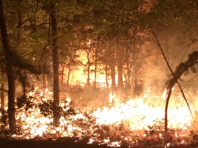 A scene from a wildfire along the border of New Jersey's Woodland and Manchester townships in Sept. 2015. (NJFFS photo)