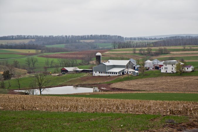 In total, the Hunsberger farm is about 500 acres. The Hunsbergers raise chickens, and grow corn and soy beans. (Kimberly Paynter/WHYY)