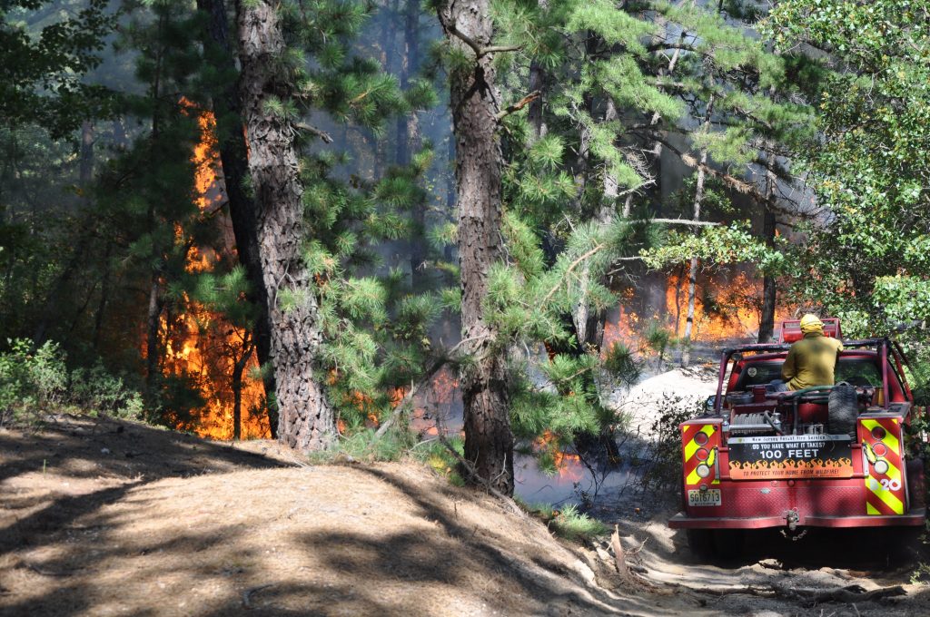 Woodmansie Fire2 Woodlands fire (NJ Forest Fire Service)