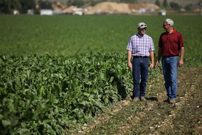 beets-th Image courtesy of Farmers Alliance for Integrated Resources