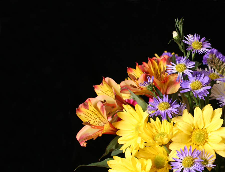 Flowers (Big Stock image)