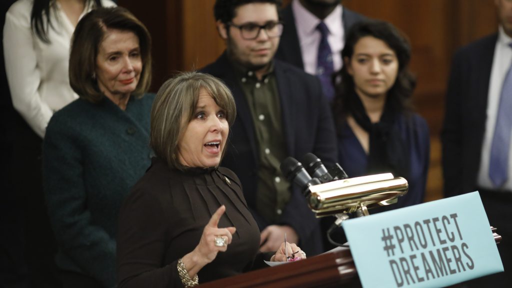 Rep. Michelle Lujan Grisham, D-N.M., speaks at a news conference calling for the passage of the Dream Act in January, along with House Democratic leader Nancy Pelosi. Lujan Grisham is one of five Democratic lawmakers, along with nine Republicans, receiving praise over immigration, in the form of paid ads, by the Koch network. Rep. Michelle Lujan Grisham, D-N.M., speaks at a news conference calling for the passage of the Dream Act in January, along with House Democratic leader Nancy Pelosi. Lujan Grisham is one of five Democratic lawmakers, along with nine Republicans, receiving praise over immigration, in the form of paid ads, by the Koch network. (Aaron P. Bernstein/Getty Images)