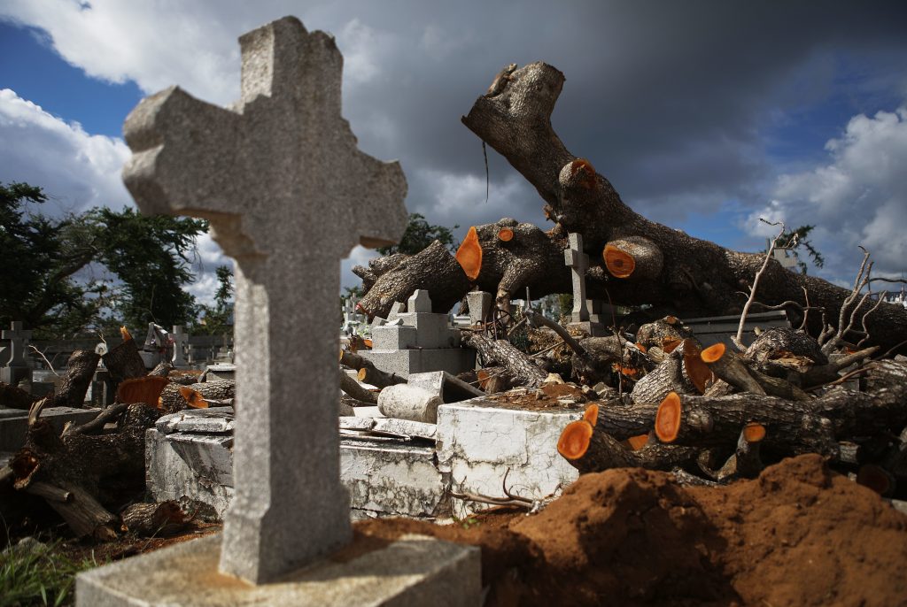 A tree toppled by Hurricane Maria rests over damaged graves in the Villa Palmeras cemetery in San Juan, Puerto Rico, in December 2017. (Mario Tama/Getty Images)