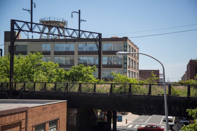 An overgrown rail line, and future part of the park, is visible from the competed first quarter of the Philadelphia Rail Park. (Emily Cohen for WHYY)