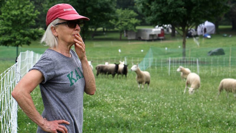 Choreographer Ann Carlson watches a rehearsal of 