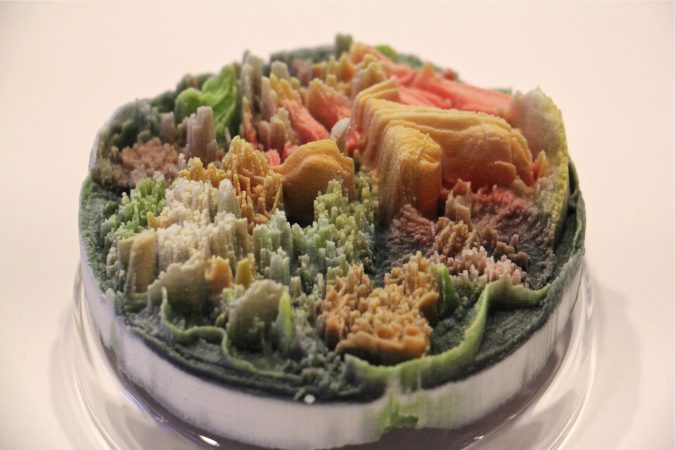 Suzanne Anker's miniature landscapes are actually based on photos of decaying organic matter. (Emma Lee/WHYY)