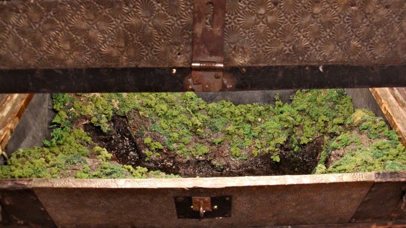 A large trunk opens to reveal a miniature river valley in Kathleen Vance's 
