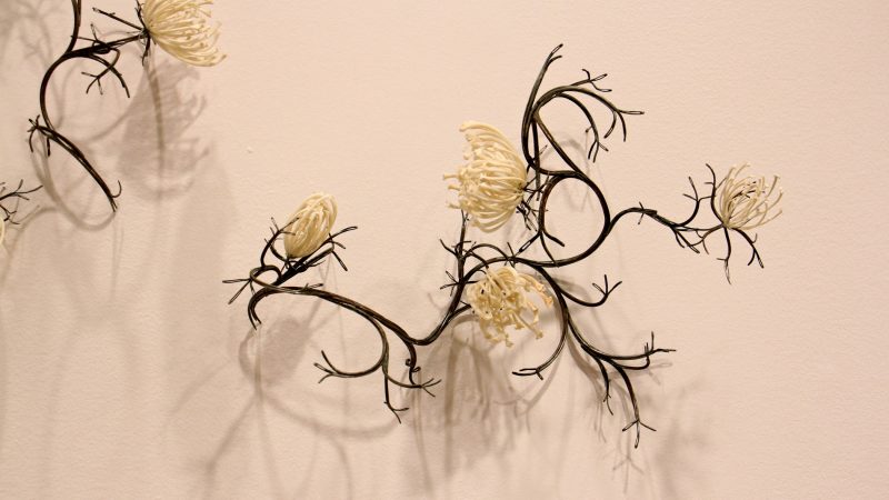 Jennifer Trask used python and rattlesnake ribs to create 