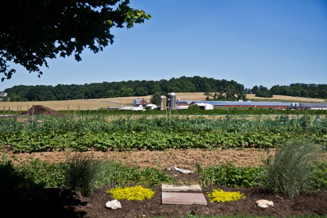 The Stoltzfus farm in Peach Bottom, Pa. (Kimberly Paynter/WHYY)