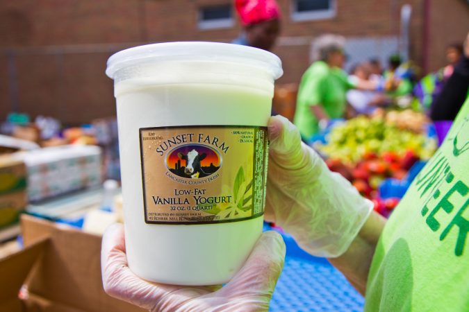 Yogurt made from surplus milk is distributed by Philabundance. (Kimberly Paynter/WHYY)