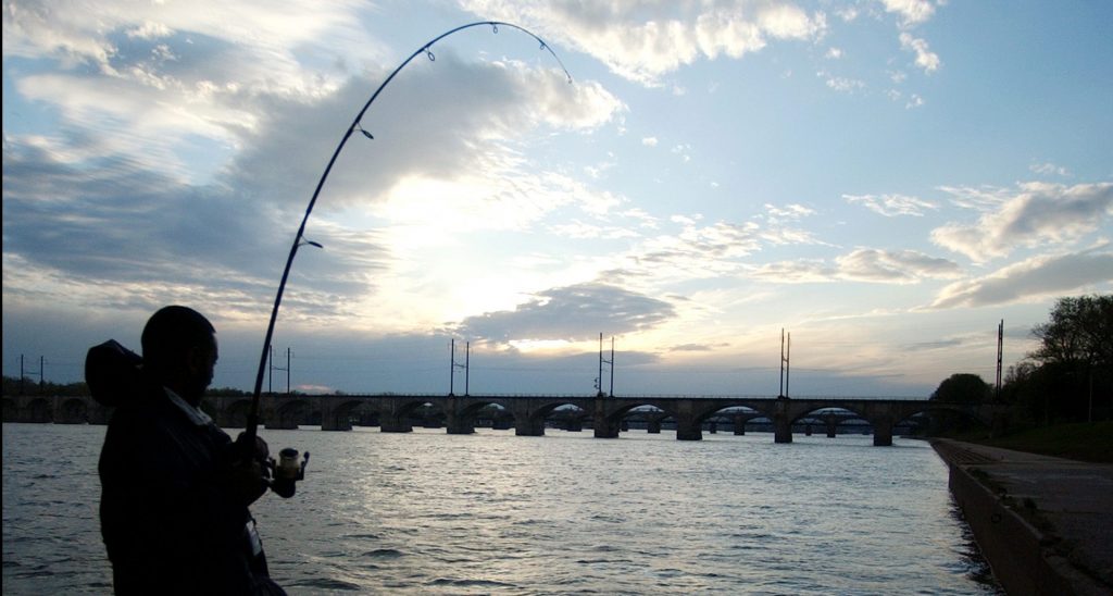 A fisherman along the banks of the Susquehanna River. Two senior state environmental officials say there is no link between gas drilling and problems with the river's smallmouth bass population. (Carolyn Kaster/AP Photo)
