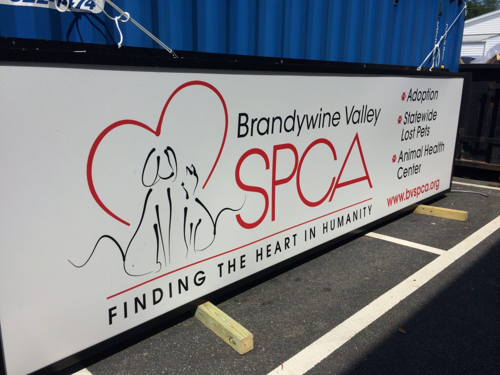 BVSPCA Brandywine Valley SPCA has shelters in West Chester, Pennsylvania, New Castle and Georgetown, Delaware. (Shirley Min/WHYY)