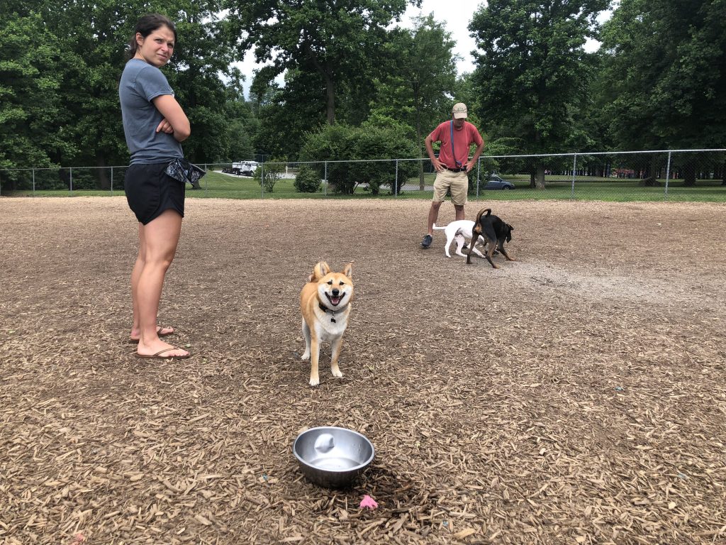 DOGS Talley Day Owners watch as their dogs play Tuesday at Talley Day Bark Park north of Wilmington. No leashes are required at bark parks. (Shirley Min/WHYY)