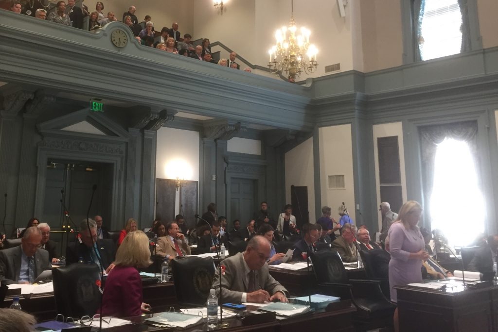 IMG_4293 The General Assembly voted to pass an Equal Rights Amendment. (WHYY/Zoe Read)