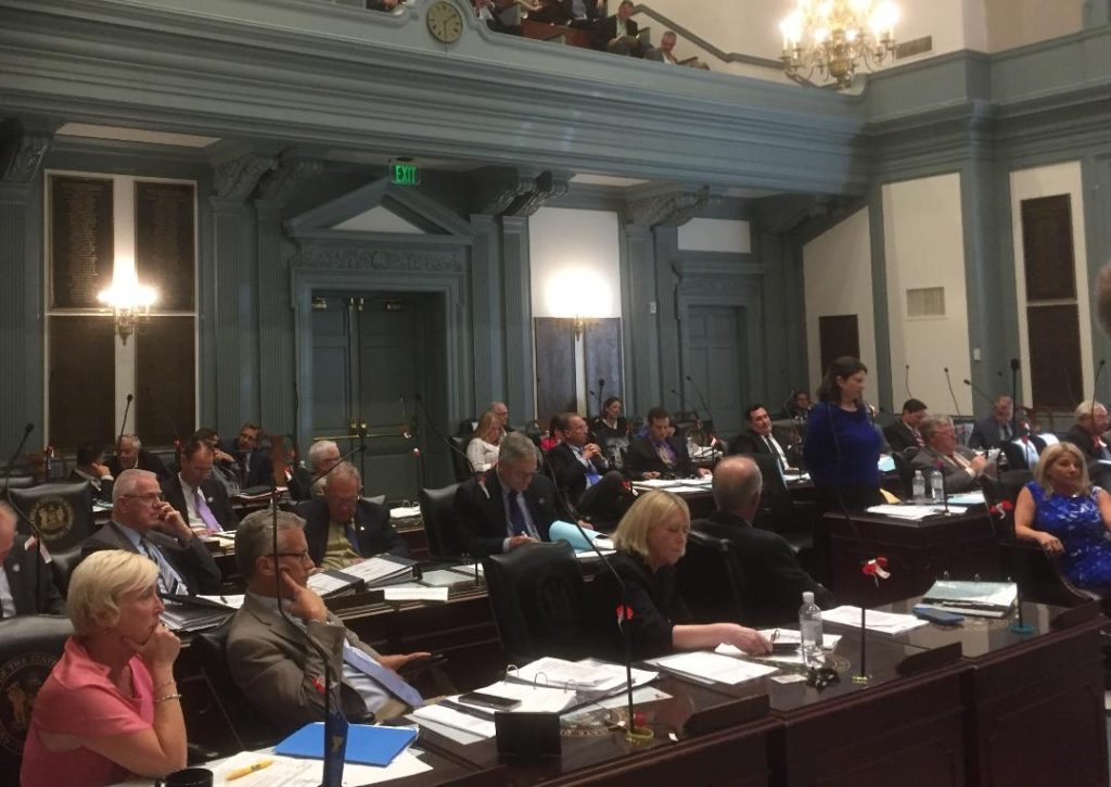 Leg hall Members of the Delaware House discuss the FY 2019 budget bill, which was approved surprisingly early. (Zoë Read/WHYY)