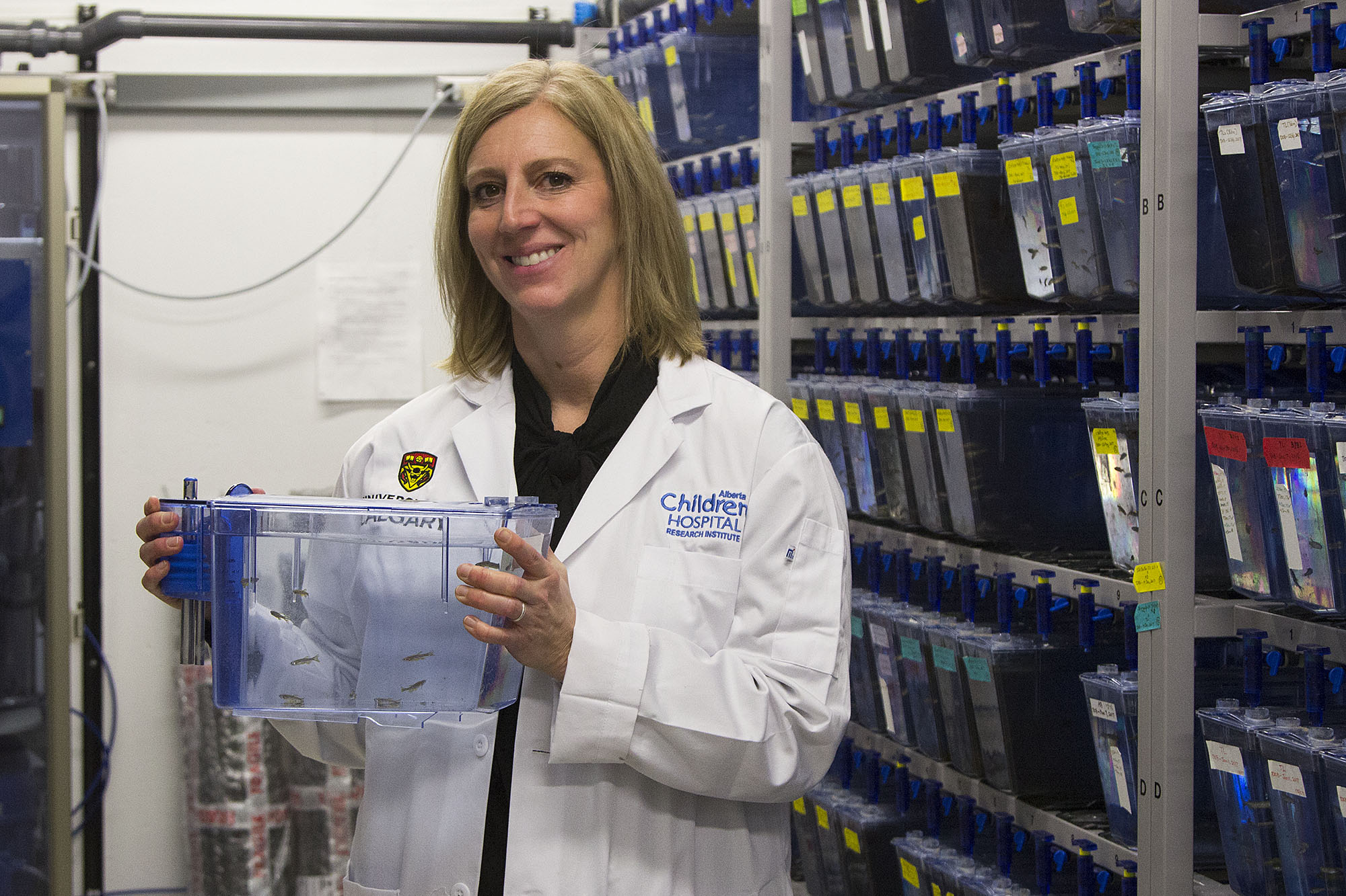 Neuroscientist Deborah Kurrasch, pictured with zebrafish used to create larva modified to have epilepsy. Kurrasch’s lab houses up to 4,500 breeding zebrafish at once