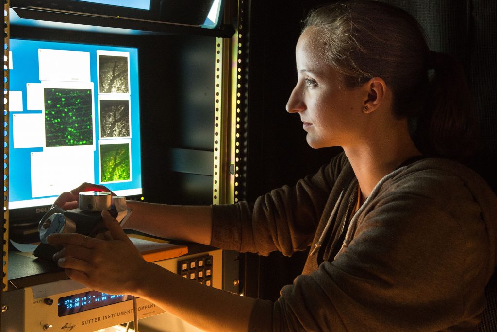 Ashley Juavinett Salk Institute Neuroscientist Ashley Juavinett looks at the cells in a mouse's brain (marked in green) while the mouse looks at something. Part of her research is studying the neurons and circuits in the brain that help us (and mice) see the world. Photo provided by Ashely Juavinett