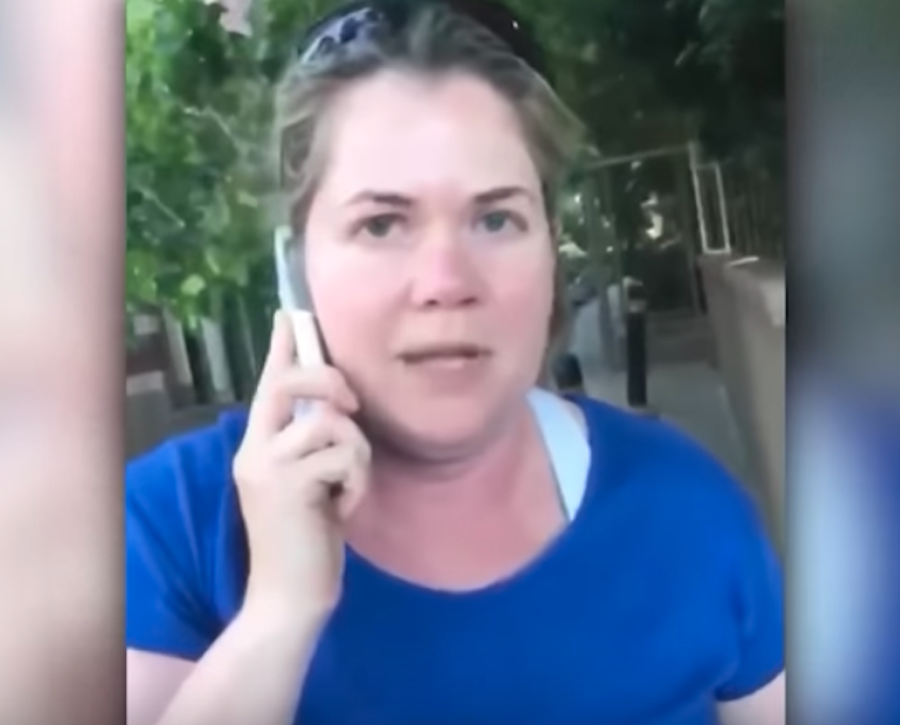 Screen Shot 2018-06-26 at 8.07.14 AM Alison Ettel threatened to call the police on a young African-American girl selling water on the sidewalk.