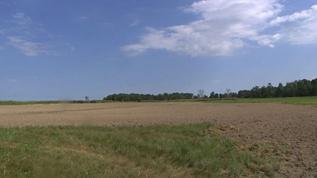 farm In hopes of getting farmers some financial relief from the loss of early-season crops, Delaware Agriculture Secretary Michael Scuse has filed an emergency disaster declaration with the USDA’s Farm Service Agency. (WHYY file)