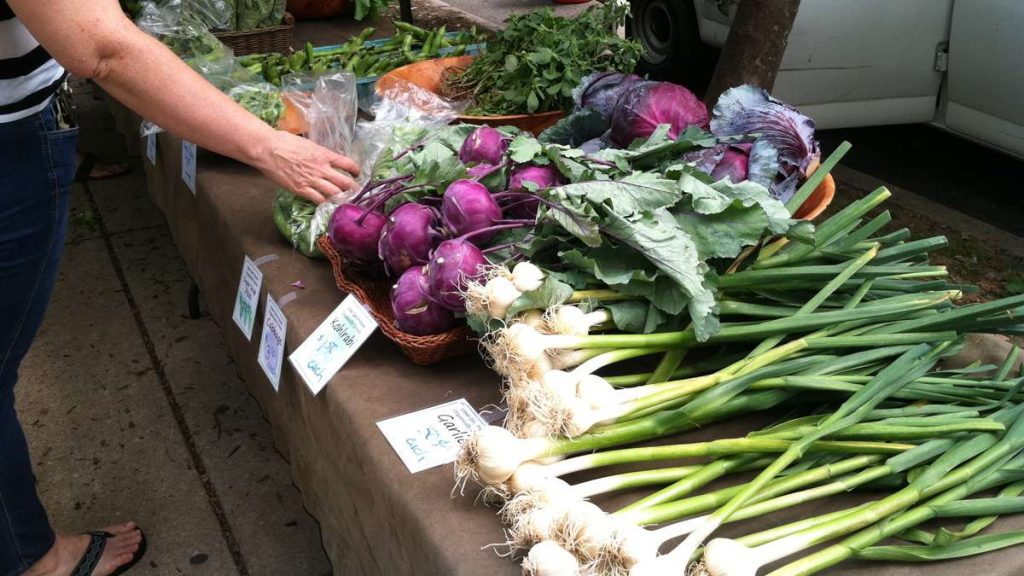 image-872 Volunteers and a group of farmers have yielded more than 1.7 million pounds of locally grown produce to Bucks County and beyond for nearly a decade. (Laura Benshoff for The Pulse)