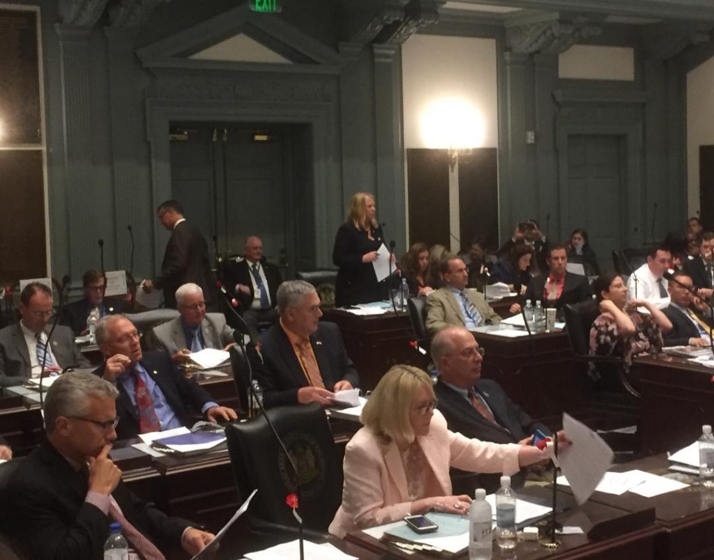 marijuana vote Efforts to legalize marijuana for recreational use were defeated in the Delaware House Wednesday evening. (Zoë Read/WHYY)