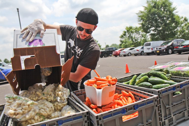 A volunteer stocks garlic on a food giveaway line in Warminster, Pa. (Kimberly Paynter/WHYY)