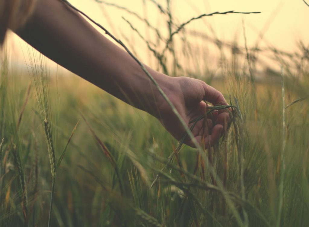 The language of Jos Charles' “feeld” is like an artifact from a different time, a kind of “lost Middle English” concieved to describe the trans experience in new ways. Photo by Getty Images