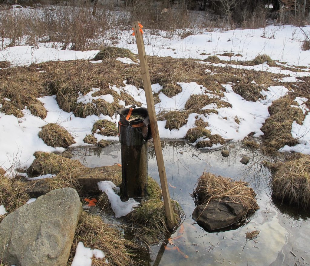 IMG_0680-1920×1920 An abandoned well from the early 1900's spews oil into the Tamarack Swamp. (