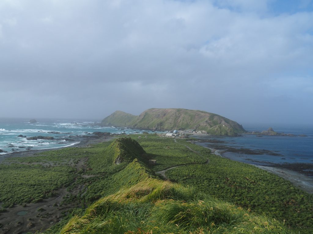 OLYMPUS DIGITAL CAMERA Image: Krudller/Wikimedia Commons