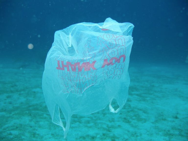 Screen-Shot-2018-04-27-at-8.58.01-AM-768×574 (1) An underwater single-use plastic carryout bag.