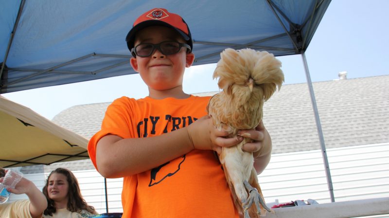 Scott Frank, 7, of Morrisville, announces his intention to raise buff laced Polish chickens after meeting one at the Middletown Grange Fair. (Emma Lee/WHYY)
