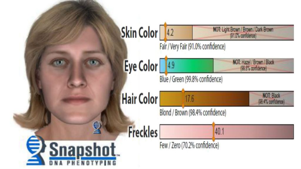 Cold case DNA Phenotyping DNA phenotyping helped scientists create a composite of an unidentified woman whose body was found in 1977. (New Castle County Police)