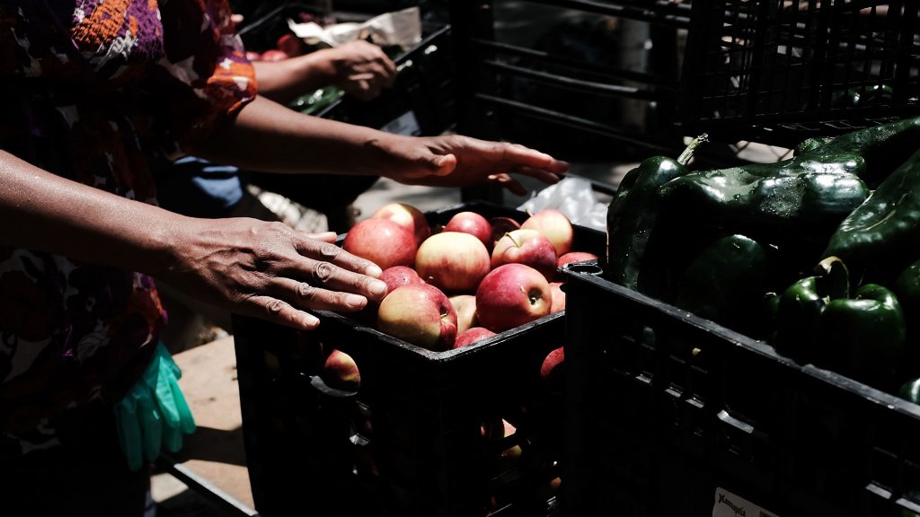 A woman packs crates at a weekly free food pantry in the Bronx in New York City. The Trump administration is considering penalizing legal immigrants for using government benefits such as Medicaid and food stamps. A woman packs crates at a weekly free food pantry in the Bronx in New York City. The Trump administration is considering penalizing legal immigrants for using government benefits such as Medicaid and food stamps
