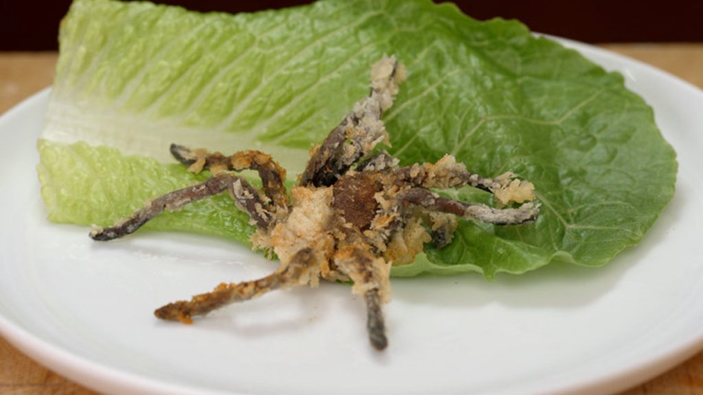 spider16x9 Deep-fried tarantula. Hungry yet?
(Smithsonian Networks)