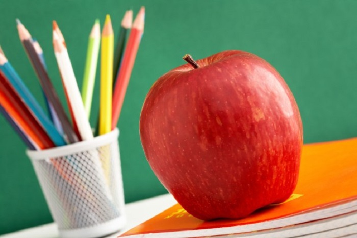 teachers