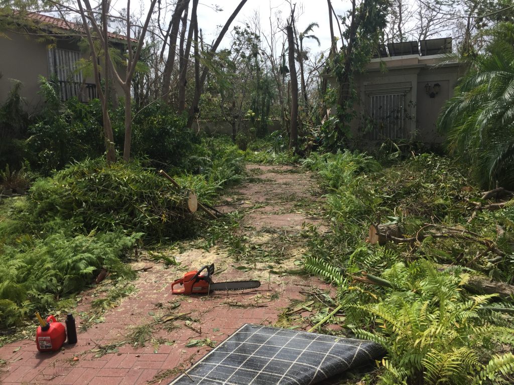 IMG_5007 In the days after the hurricane, Mariana Ortiz-Blanes documented the devastation around her family home. She took photos and short videos — then sent them to her daughter in Philadelphia — as Hurricane Maria swept across Puerto Rico. Photo Credit: Mariana Ortiz-Blanes