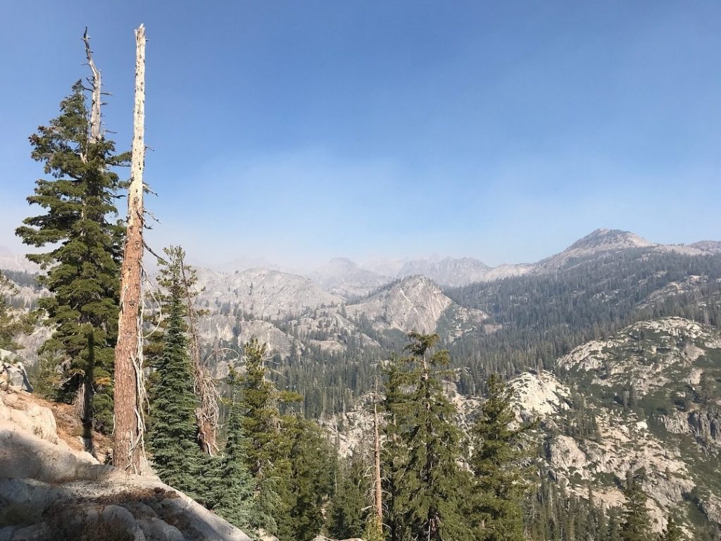 Smoke from the Lions Fire obscures granite peaks in the Sierra Nevada. Smoke from the Lions Fire obscures granite peaks in the Sierra Nevada. (Nathan Rott/NPR)