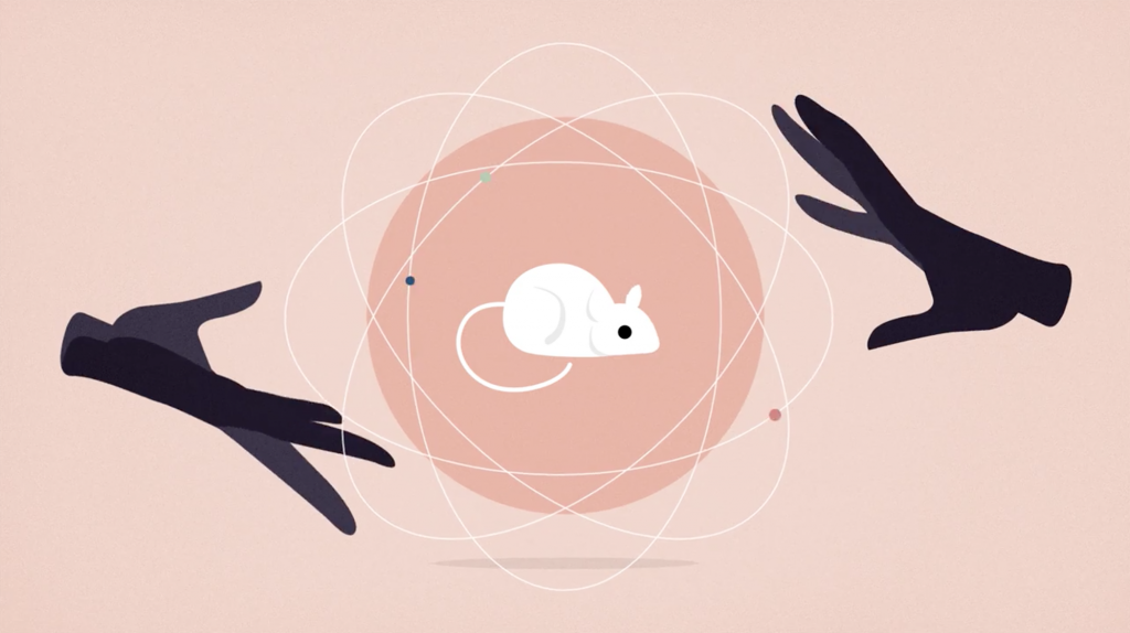 In this animation from Invisibilia’s season one episode “How to Become Batman,” we explore whether your private thoughts and expectations can influence how well a rat runs a maze, and how those expectations can have a profound impact on our own lives. In this animation from Invisibilia's season one episode