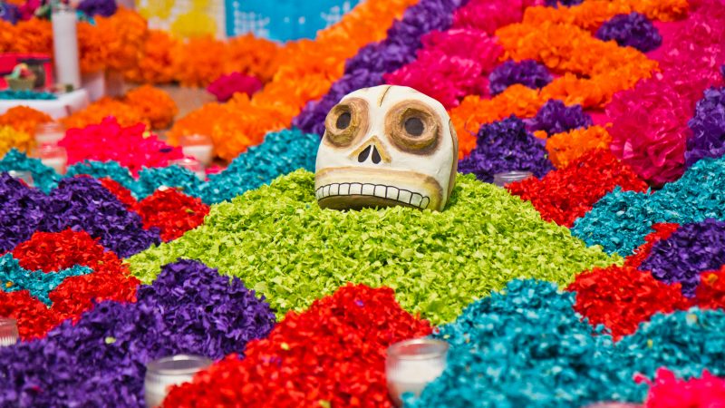 A skull emerges from the paper flower petals at the Day of the Dead altar at the Penn Museum. (Kimberly Paynter/WHYY)