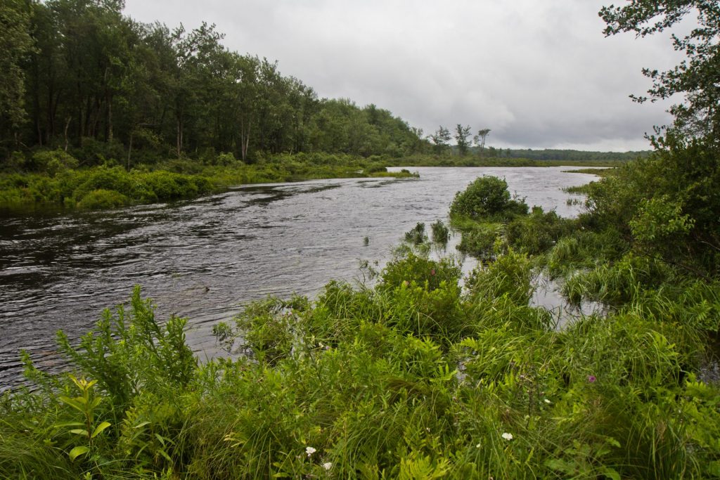 2018-8-6-k-paynter-environmentalist_-5-1920×1280 The Tunkhannock Creek crosses Pocono Raceway property in Long Pond, Pa. It feeds into the Delaware River. (Kimberly Paynter/WHYY)