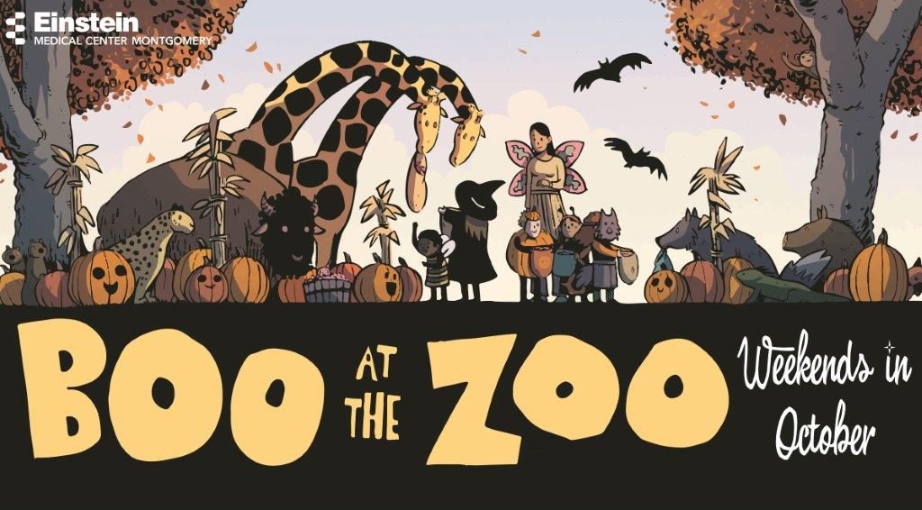 BOO emma email banner