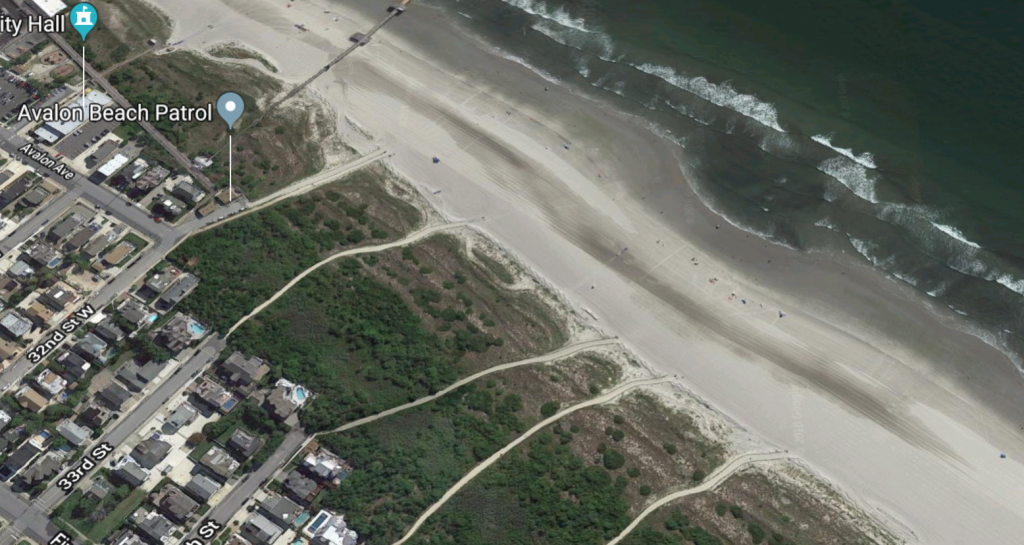Screen Shot 2018-10-02 at 4.50.12 PM Authorities say dune trees were cut in the area of the 32nd Street beach. (Google image)