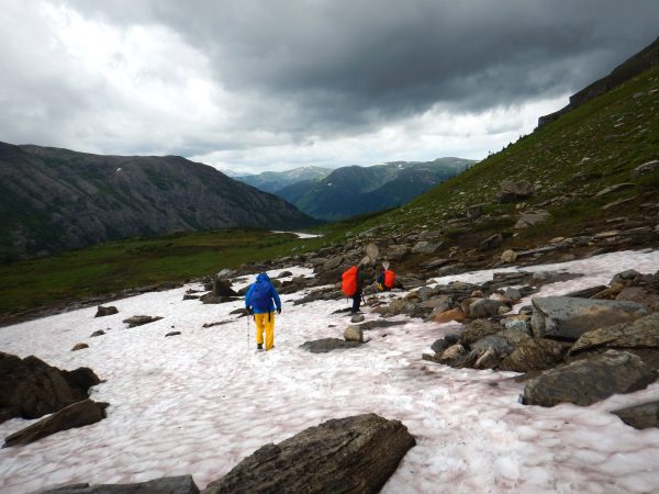 (From left to right) Robb Bennett, Darren Copley and Claudia Copley stop to look for spiders while hiking back to camp in an impending storm. (Molly Segal)